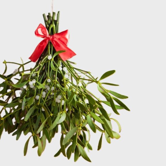 NEW- EARRING WITH MISTLETOE LEAF PENDANTS SET - Picture 5 of 5